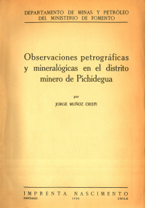 Observaciones petrográficas y mineralógicas en el distrito minero