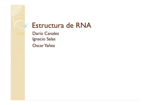 Predicción de estructura RNA