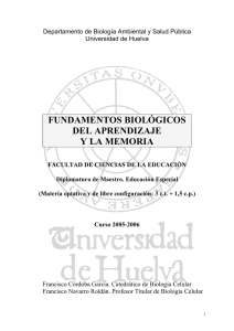 Programa - Universidad de Huelva