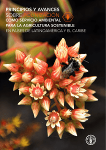sobre polinización - Food and Agriculture Organization of the United