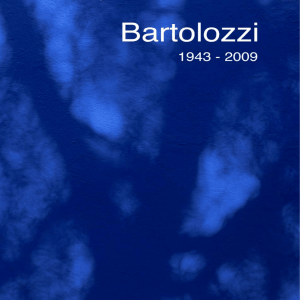 bartolozzi - Perfil del contractant