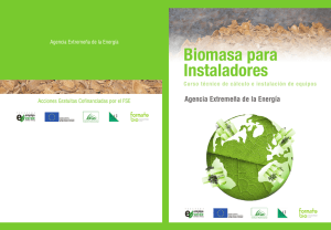 Biomasa para Instaladores Curso técnico de cálculo e instalación