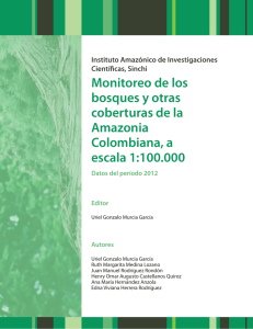 Monitoreo de los bosques y otras coberturas de la Amazonia