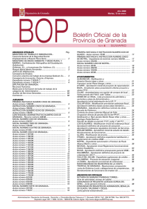 B.O.P nº 6 – 13/01/2009