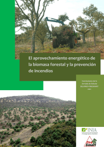 El aprovechamiento energético de la biomasa forestal y la