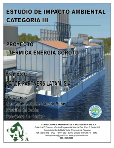 TÉRMICA ENERGÍA COROTÚ - Ministerio de Ambiente