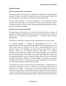 GUÍA DEL USUARIO - Sociedad Argentina de Andrologia