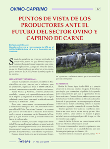 puntos de vista de los productores ante el futuro del sector ovino y