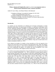 Bol. SAO (1999) Vol. X No. 18-19 CUERVO et al.