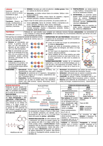 Bioquímica 2
