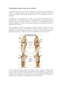 Patologia de rodilla