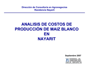 Análisis de costos de producción de maíz blanco en Nayarit