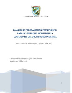 manual programacion pptal 2013 entidades descentralizadas