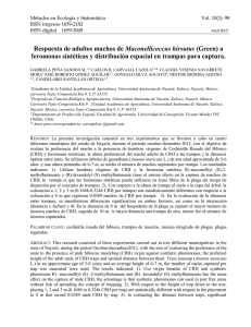 Respuesta de adultos machos de Maconellicoccus hirsutus (Green)