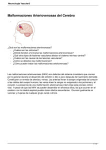 Neurocirugía Vascular3