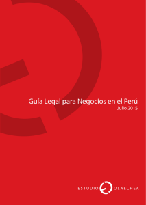 GUIA LEGAL - TRADUCCION AL ESPAÑOL (285035