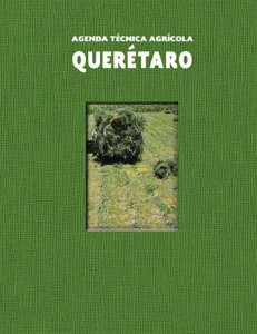Querétaro - SER Mexicano