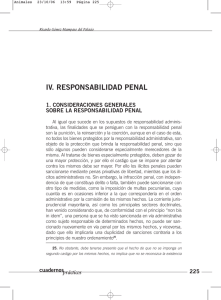 IV. RESPONSABILIDAD PENAL