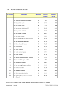 CAP. 1 - PROTECCIONES INDIVIDUALES Nº ORDEN CONCEPTO