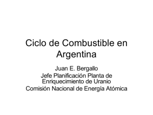 Ciclo de Combustible en Argentina