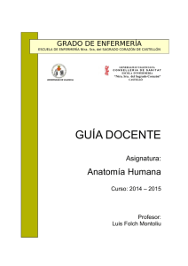 Guía Docente Anatomía Humana 2014-2015