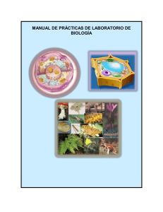 manual de prácticas de laboratorio de biología
