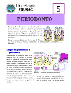 Periodonto - Apoyo para la Fac. de Odontología – USAC