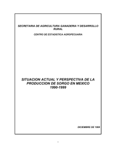 1990-1999 - Campo Mexicano