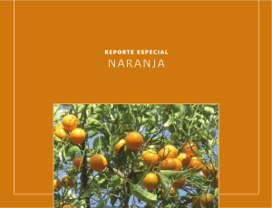 naranja - Servicio de Información Agroalimentaria y Pesquera