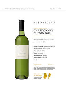 AV ChCh - Agrelo Wine