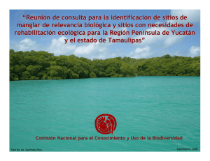 “Reunión de consulta para la identificación de sitios de manglar de