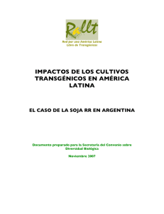 impactos de los cultivos transgénicos en américa latina