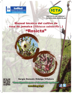 Manual tecnico del cultivo de rosa de jamaica ROSICTA