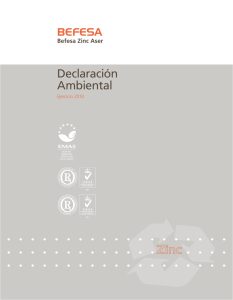 Declaración Medioambiental de Befesa Zinc Aser 2010