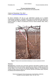 Bajar en PDF - Revista de Divulgación Técnica Agropecuaria