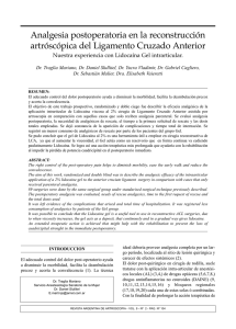 Analgesia postoperatoria en la reconstrucción artróscópica del