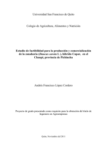 Estudio de factibilidad para la producción y comercialización de la