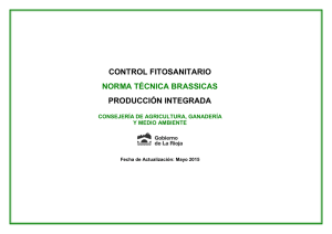 control fitosanitario norma técnica brassicas producción integrada