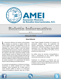 AMEI - 7o Boletin - Asociación Mexicana de Estudios