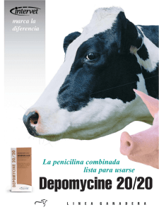 Depomycine® 20/20 - MSD Salud Animal