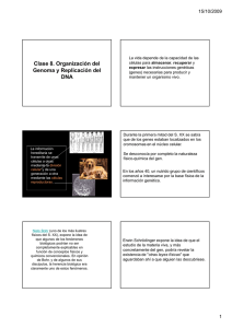 Clase 8. Organización del Genoma y Replicación del DNA