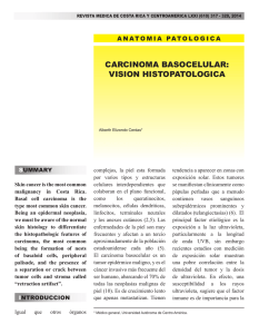 CARCINOMA bAsOCELuLAR: VIsION HIsTOpATOLOGICA