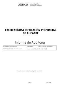 Informe de Auditoría - Diputación de Alicante