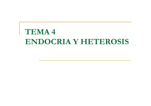 TEMA 4 ENDOCRIA Y HETEROSIS