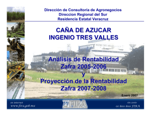Ingenio Tres Valles - Análisis de rentabilidad Zafra 2005-2006