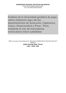Análisis de la diversidad genética de papa nativa (Solanum spp