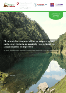 El valor de los bosques andinos en asegurar agua y suelo en un