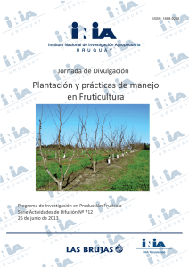 Plantación y prácticas de manejo en Fruticultura