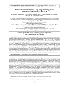 Polimorfismo en el gen de la µ-calpaína en ganado Brahman de