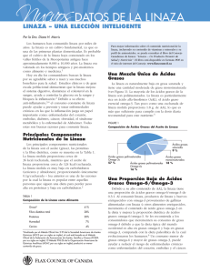 Flax_FSht_SmrtCh_Spanish.1_R (Page 1)